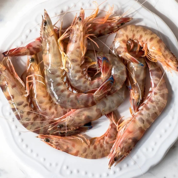 shrimps